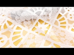 De in water oplosbare Stof van het de Bloem Chemische Kant van de Kantstof Franse voor Kleding